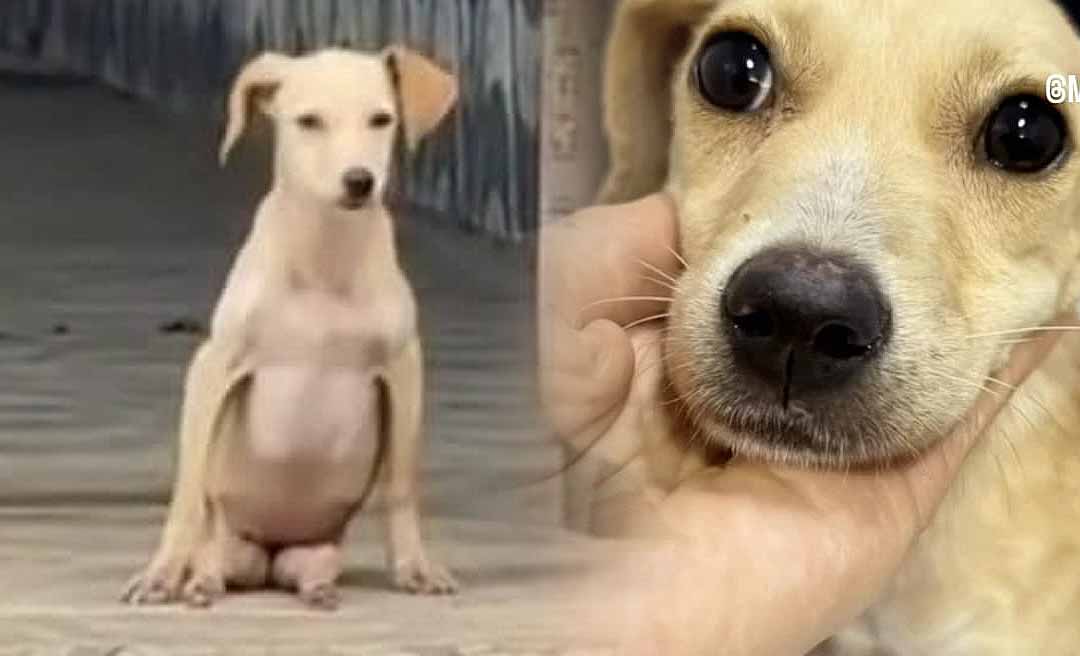 CORRENTE DO BEM Image