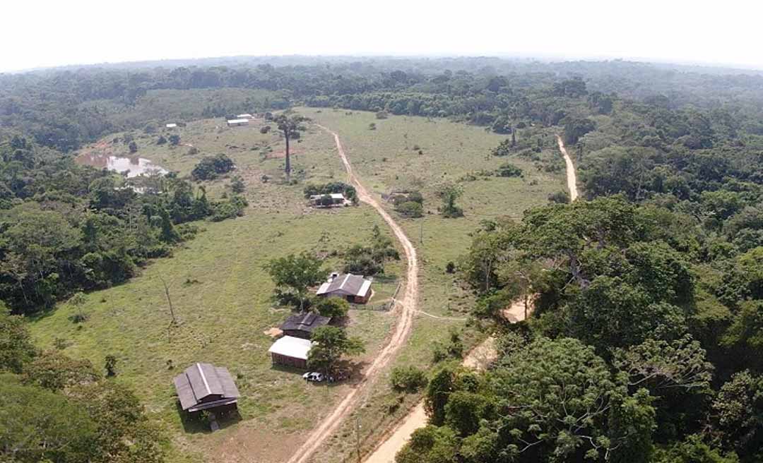 MPF processa invasores da Reserva Extrativista Chico Mendes, no interior do Acre