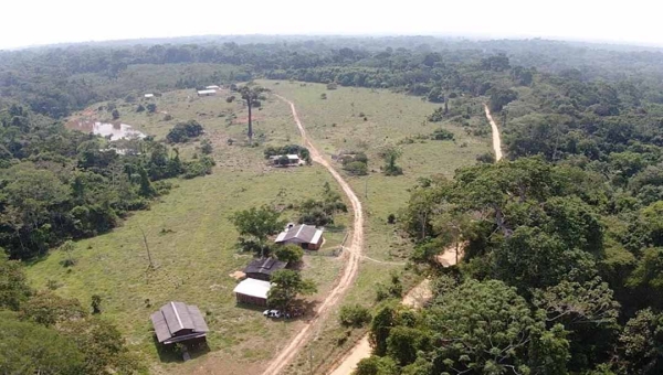 MPF processa invasores da Reserva Extrativista Chico Mendes, no interior do Acre