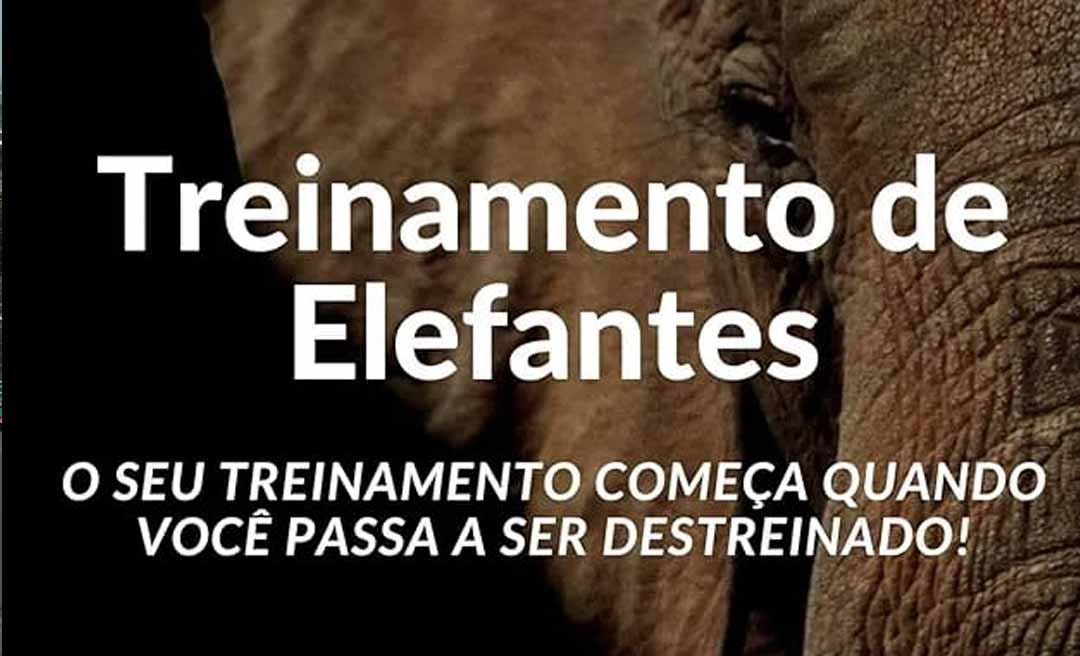 “Treinamento de Elefantes”: empreendedor brasileiro desafia líderes a romperem correntes invisíveis no mundo corporativo