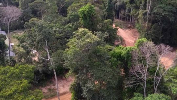 Câmara Cível mantém decisão que determina medidas de proteção à Floresta Estadual do Antimary