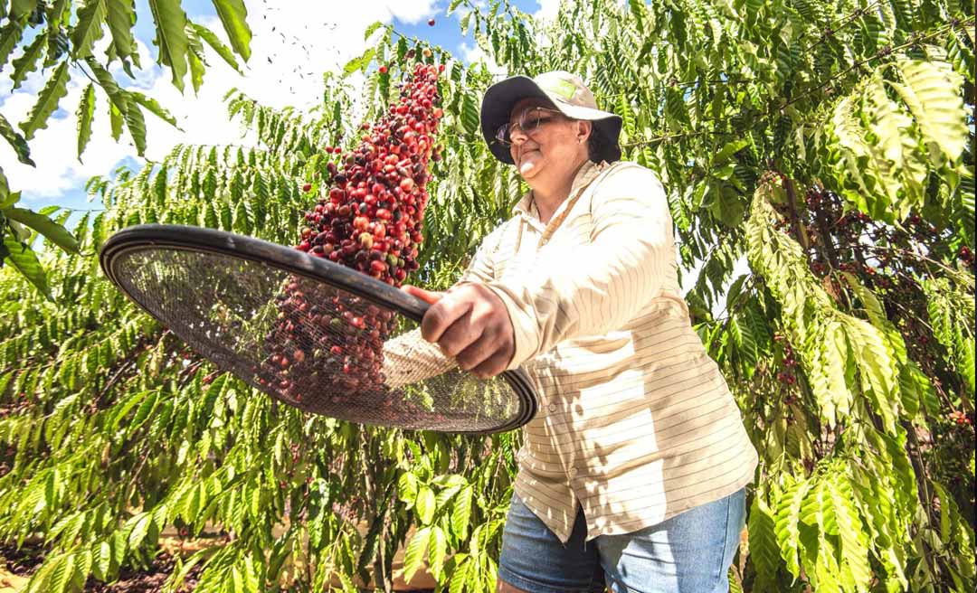 Acre está entre os dez estados do país com maior crescimento real do PIB em três décadas, aponta estudo