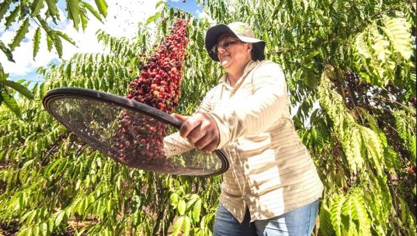 Acre está entre os dez estados do país com maior crescimento real do PIB em três décadas, aponta estudo