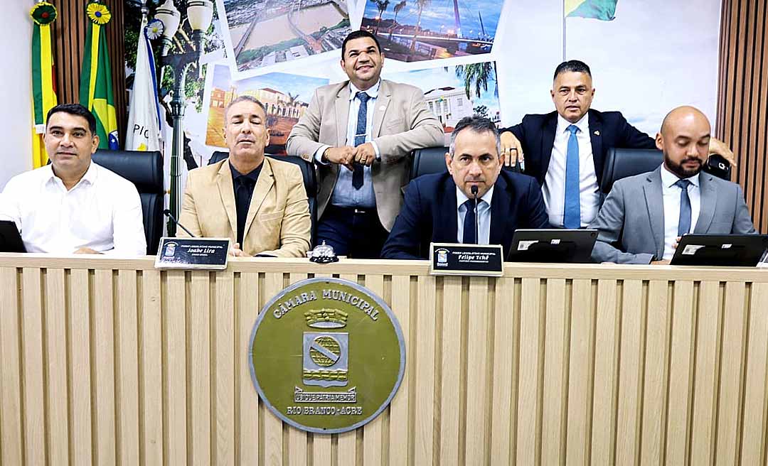 apenas 6 no plenário Image