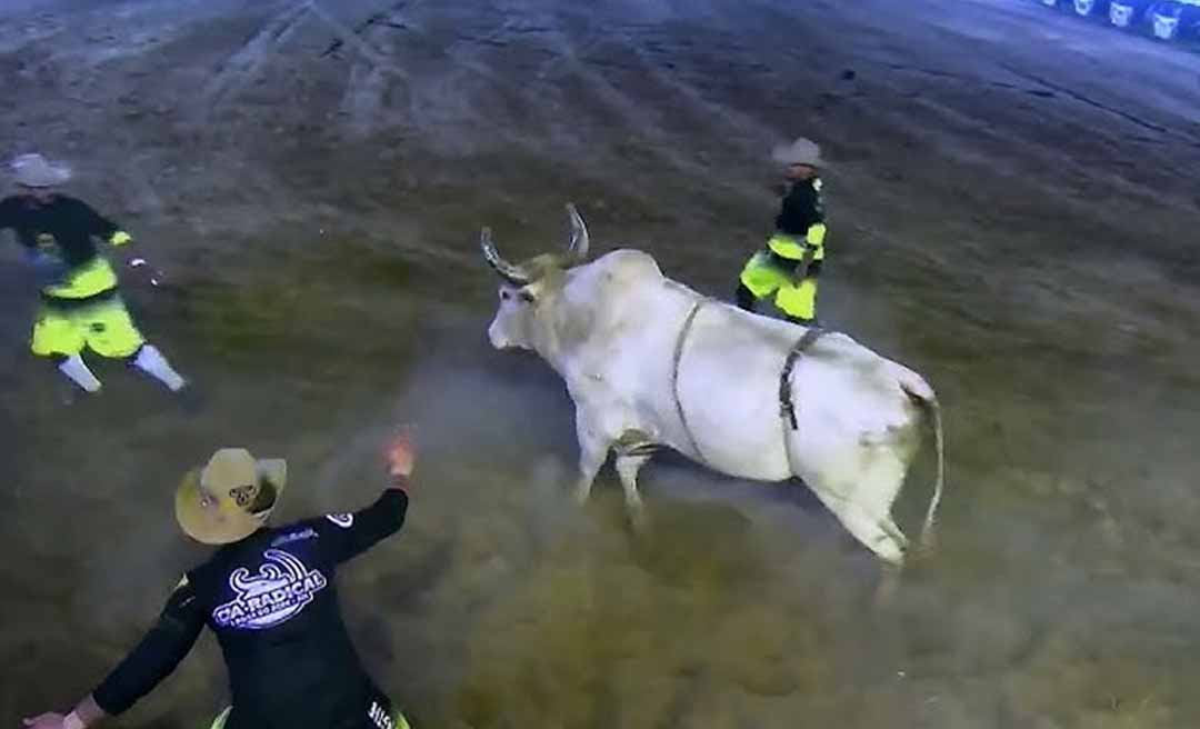 NO SUL DO AMAZONAS Image