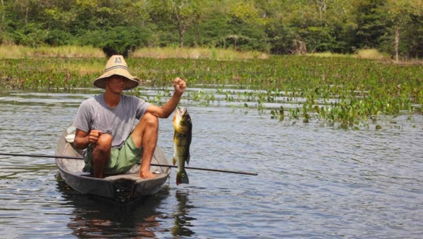 Pescadores do Acre que não queiram mais desempenhar as atividades podem pedir o cancelamento do RGP e da Licença de Pescador