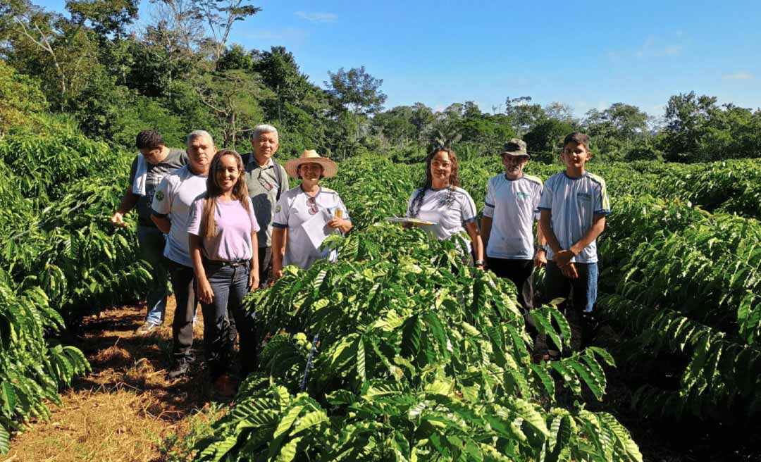 Governo do Acre oferta 300 vagas no Juruá para capacitar profissionais para atuar no ramo da economia sustentável