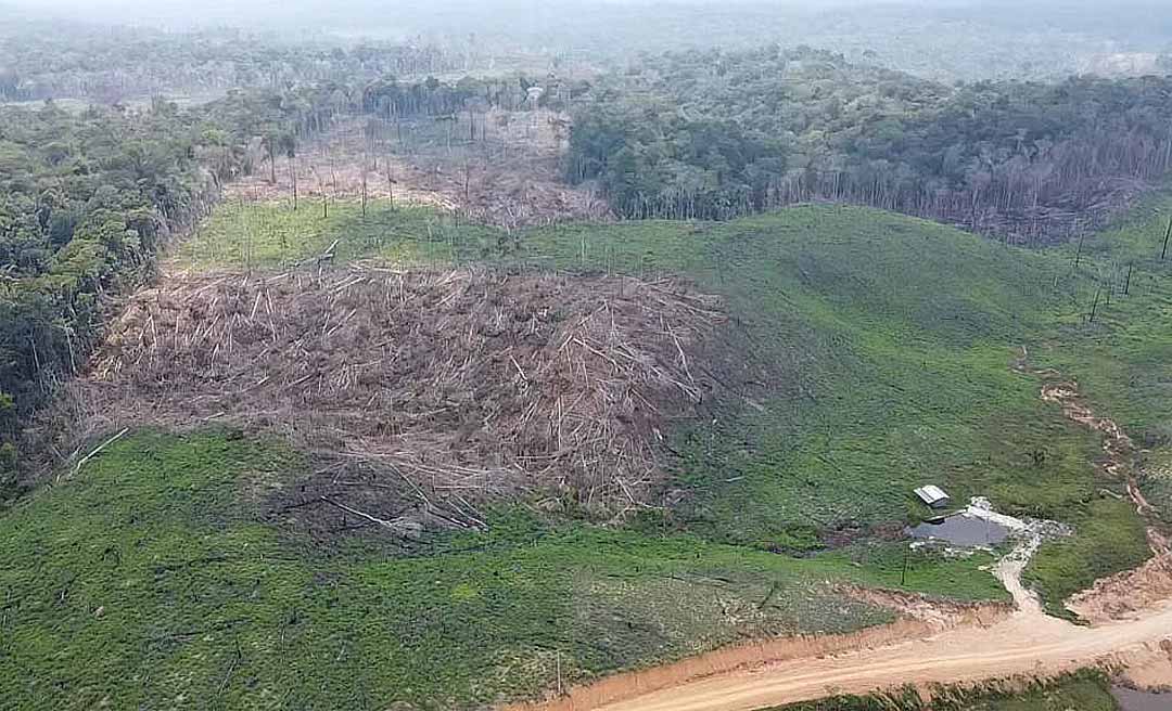 Em 2025, Acre desmatou quase 60 hectares por dia, mostra Mapbiomas