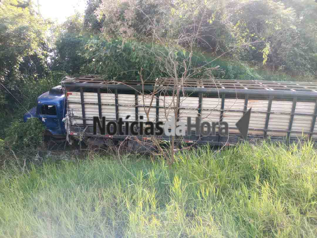 WhatsApp_Image_2026-04-11_at_12.55.46.jpeg