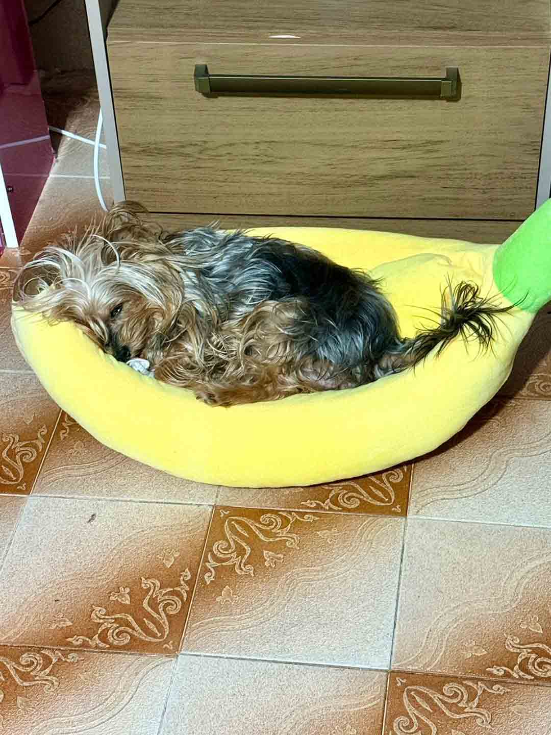 WhatsApp_Image_2026-04-20_at_11.36.12-2.jpeg